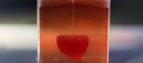 Üç boyutlu yazıcıyla yapılan insan kalbi - Sputnik Türkiye