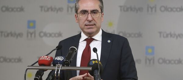 İYİ Parti Genel Başkan Yardımcısı Hasan Seymen - Sputnik Türkiye