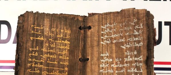 Dİyarbakır'da bin 300 yıllık olduğu tahmin edilen kitap ele geçirildi - Sputnik Türkiye