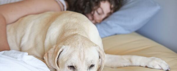 'Kadınlar için bir köpekle uyumak bir erkekle uyumaktan daha iyi' - Sputnik Türkiye