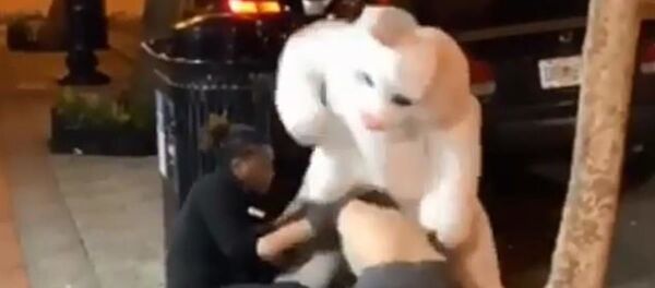 Sokakta bir kadının yumruklandığını gören 'Paskalya tavşanı' kavgayı ayırdı Sokakta bir kadının yumruklandığını gören 'Paskalya tavşanı' kavgayı ayırdı - Sputnik Türkiye