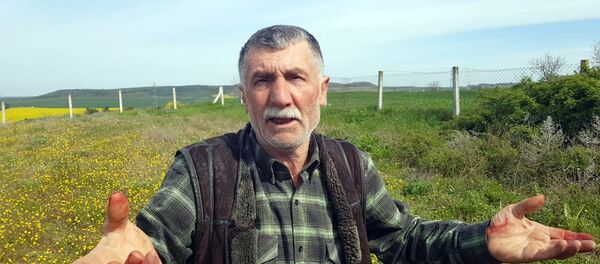 Yaralı halde kapısına gelen köpeği kurtarmak için 45 dakika mücadele etti - Sputnik Türkiye