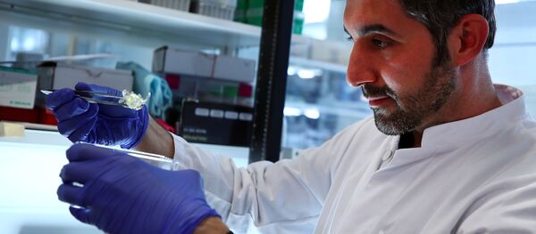 Bilim insanları  üç boyutlu yazıcıya transparan organ üretti - Sputnik Türkiye