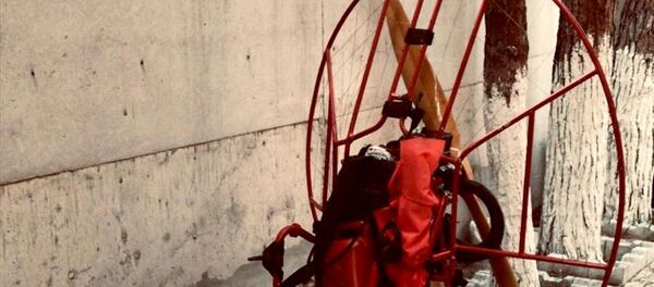 Fenerbahçe-Trabzonspor maçına kendi hava aracıyla konfeti saçmak istedi - Sputnik Türkiye