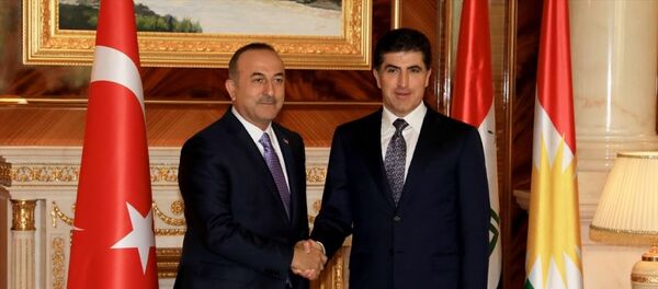 Mevlüt Çavuşoğlu - Neçirvan Barzani  - Sputnik Türkiye