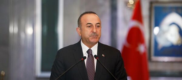 Mevlüt Çavuşoğlu - Sputnik Türkiye