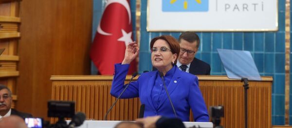 Meral Akşener - Sputnik Türkiye