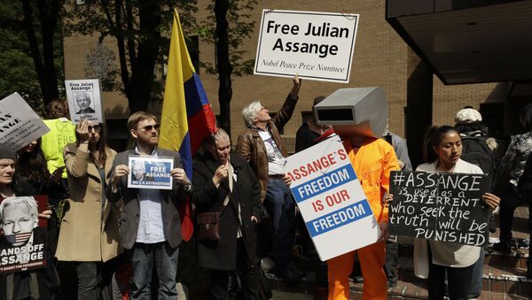 WikiLeaks kurucusu Julian Assange'ın duruşması öncesi protestolar - Sputnik Türkiye