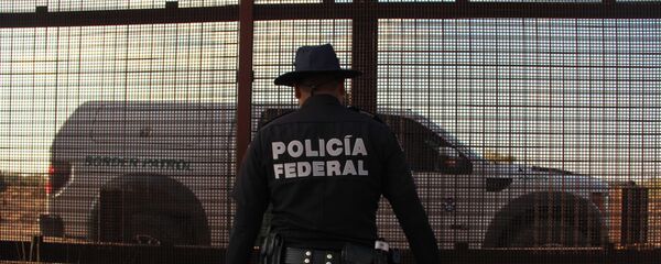 Meksika sınır polisi - Sputnik Türkiye