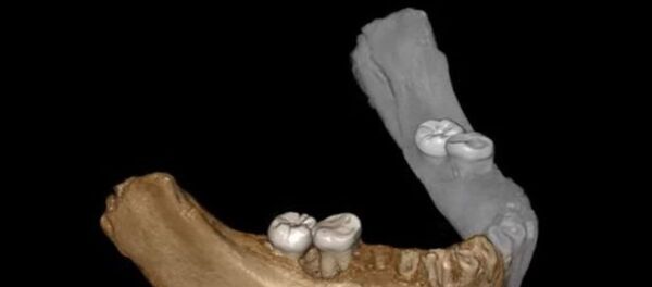 İlk insanların çok yüksek rakımlarda yaşadığına dair izler bulundu - Sputnik Türkiye