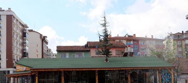 Evleri yıktıran Turgut, daha sonra betondan inşa edeceği kafeyi çam ağacı için ahşaptan yapmaya karar verdi.  - Sputnik Türkiye