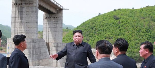 Kuzey Kore lideri Kim Jong-un - Sputnik Türkiye