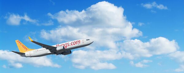 Pegasus - Sputnik Türkiye