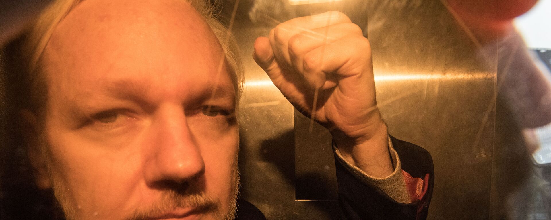 Julian Assange - Sputnik Türkiye, 1920, 18.02.2020