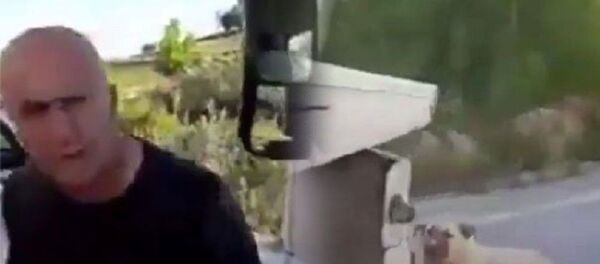 Adana,  köpeğini çekicinin arkasında sürükledi - Sputnik Türkiye