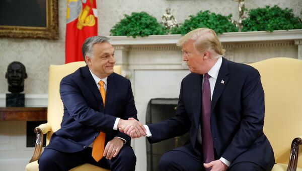 ABD Başkanı Donald Trump ve Macaristan Başbakanı Viktor Orban - Sputnik Türkiye