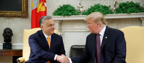 ABD Başkanı Donald Trump ve Macaristan Başbakanı Viktor Orban - Sputnik Türkiye