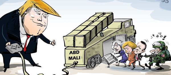 Karikatür - Sputnik Türkiye