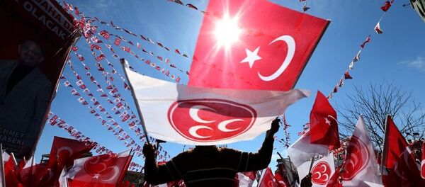 MHP, seçmen - Sputnik Türkiye