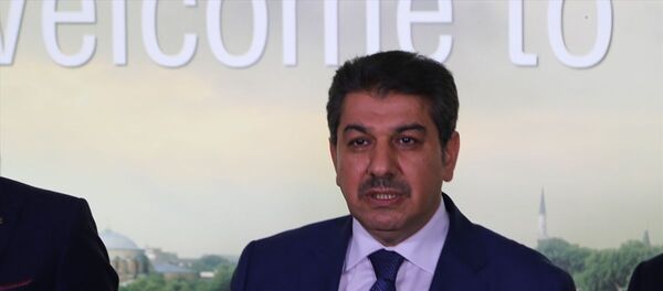 İstanbul Büyükşehir Meclisi AK Parti Grup Başkanvekili Tevfik Göksu - Sputnik Türkiye