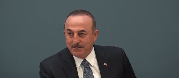 Mevlüt Çavuşoğlu - Sputnik Türkiye