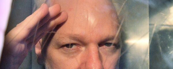 Julian Assange - Sputnik Türkiye