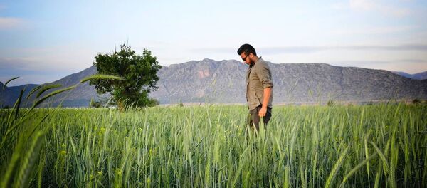 Sinan Sertel - Sputnik Türkiye