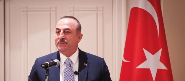 Mevlüt Çavuşoğlu - Sputnik Türkiye