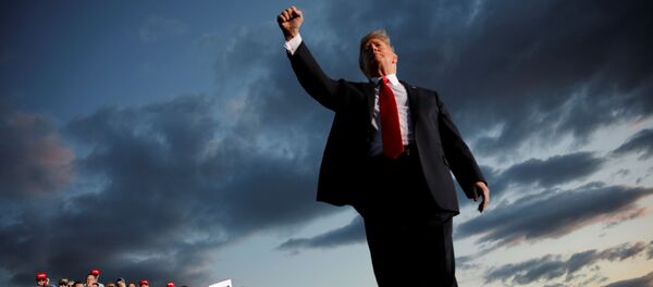 Donald Trump Montoursville, Pennsylvania mitinginde - Sputnik Türkiye