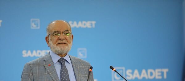 Temel Karamollaoğlu - Sputnik Türkiye