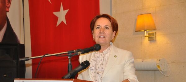 Meral Akşener - Sputnik Türkiye