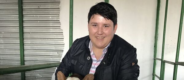 Mehmet Aydın - Sputnik Türkiye