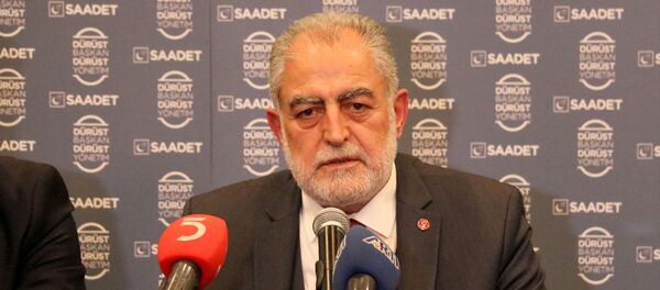 Necdet Gökçınar - Sputnik Türkiye