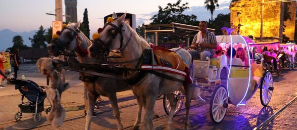 Fayton - Sputnik Türkiye