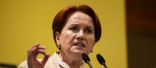 İYİ Parti Genel Başkanı Meral Akşener - Sputnik Türkiye