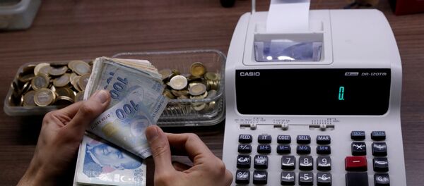 Türk Lirası, hesap, ekonomi - Sputnik Türkiye