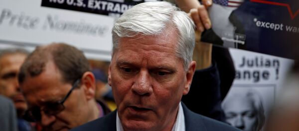 Kristinn Hrafnsson - Sputnik Türkiye