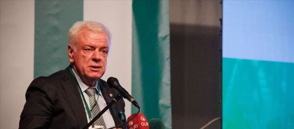 Bursaspor Kulübü Başkanı Ali Ay Bursaspor Kulübü Başkanı Ali Ay - Sputnik Türkiye