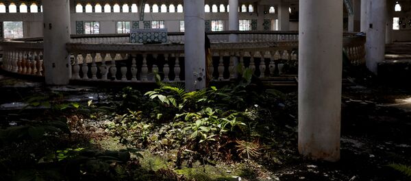 Filipinler - doğa - Sputnik Türkiye