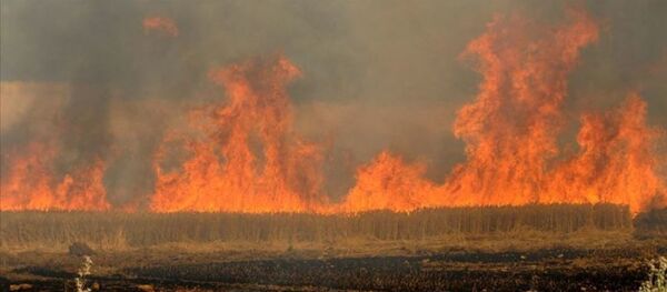 Ateş + arazi yakma - Sputnik Türkiye