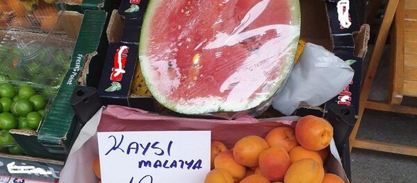 Kayısı - Sputnik Türkiye