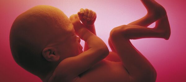 Anne karnı - bebek - Sputnik Türkiye