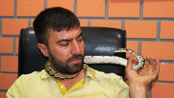 Diyarbakır’da Şeyhmus Çiftçioğlu'nun, ‘Zeki’ ismini verdiği ve dostum dediği piton yılan - Sputnik Türkiye
