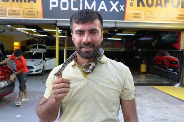 Diyarbakır’da Şeyhmus Çiftçioğlu'nun, ‘Zeki’ ismini verdiği ve dostum dediği piton yılan - Sputnik Türkiye