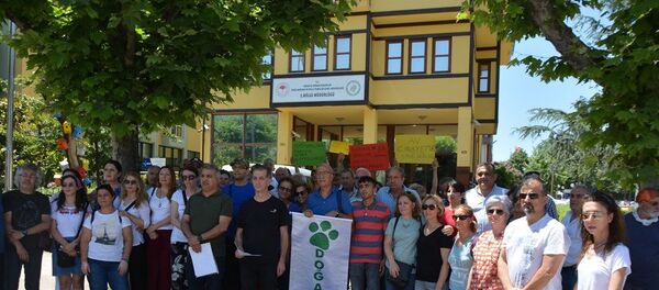 Doğa ve hayvanseverler, geyiklerin ihale ile satılarak av turizmine sunulmasına karşı çıktı  - Sputnik Türkiye