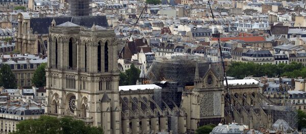Notre Dame Katedrali - Sputnik Türkiye