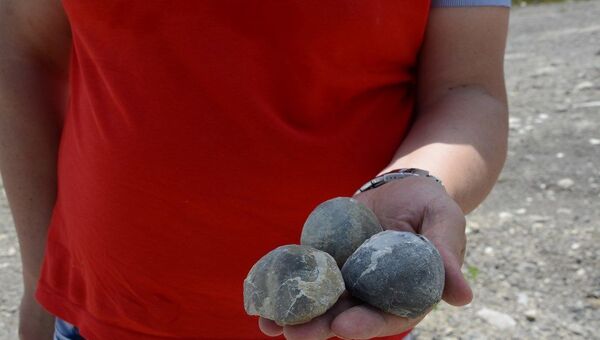 Zonguldak’da dinazorlar çağından kalma deniz canlılarına ait fosiller bulundu - Sputnik Türkiye