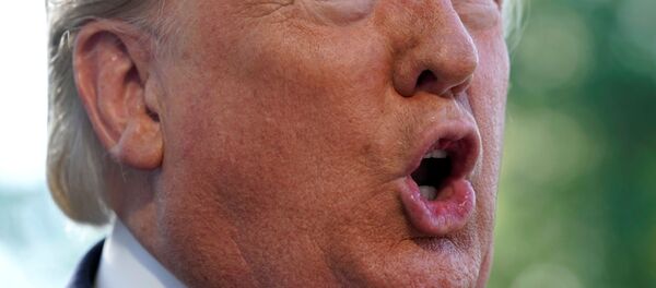 Donald Trump - Sputnik Türkiye