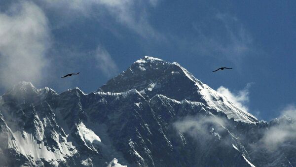 Птицы над горой Эверест  - Sputnik Türkiye