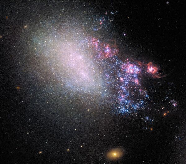 Hubble uzay teleskobu, Canes Venatici takımyıldızındaki NGC 4485 galaksisini görüntüledi. NGC 4485, milyonlarca yıl önce komşu galaksiyle çarpışmasının izlerini taşıyor. - Sputnik Türkiye